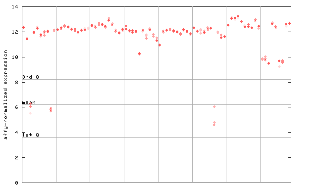 246977_at.png