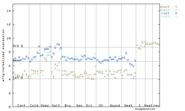250213_at.png