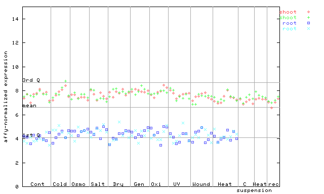 251032_at.png
