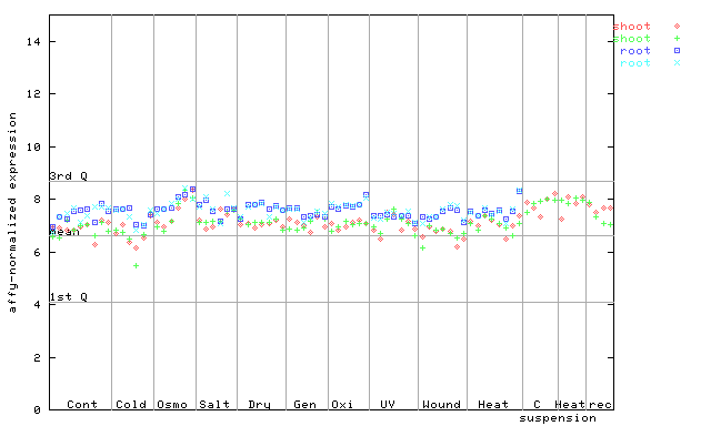 253132_at.png