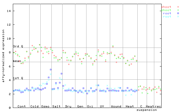 259129_at.png