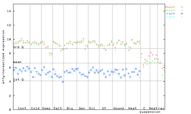 261196_at.png