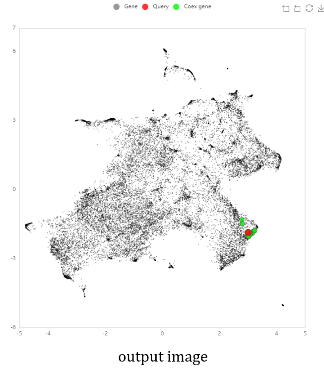 output image